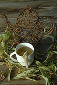 Cup of herbal tea, infusion of lime tree (Tilia sp), promotes well-being, relaxation and sleep