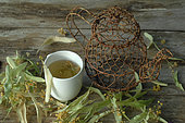 Cup of herbal tea, infusion of lime tree (Tilia sp), promotes well-being, relaxation and sleep