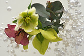 Bouquet: Christmas rose flowers, eucalyptus leaves and pearls