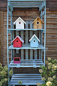 Handmade birdhouses on a pallet shelf, garden decoration