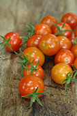 'Cherry' tomatoes (Solanum lycopersicum)