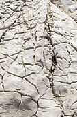 Urgonian limestone cracked by erosion and polished by the repeated passage of hikers, Calanques National Park, Bouches-du-Rhone, France