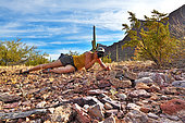 Photographer with Eastern Diamondback rattlesnake (Crotalus atrox), Arizona, USA. Controlled conditions.