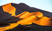 Dune de Sossusvlei. Parc national du Namib-Naukluft. Paysages de Namibie. Afrique
