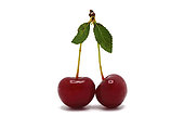Pair of ripe cherries on a light background. Natural product. Natural color. Close-up.
