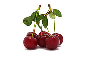 Several ripe cherries on a light background. Natural product. Natural color. Close-up.