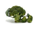 Raw broccoli inflorescence on a light background. Natural product. Natural hue. Close-up.