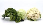 Head of cabbage, inflorescences of broccoli and cauliflower on a light background. Natural product. Natural hue. Close-up.