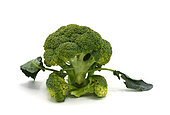 Raw broccoli inflorescence on a light background. Natural product. Natural hue. Close-up. [dump] =>