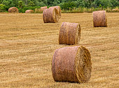 Hay bales on the field, Provence, France