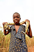 Ball python (Python regius), Held by a girl, Togo, From Senegal to Uganda.