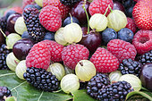 Summer fruit mix