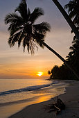 Beach on the tropical island. Indonesia. Indian Ocean.