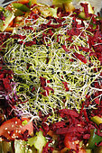 Raw vegetable salad (beetroot, tomato, cucumber...) with sprouted seeds