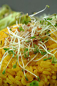 Sprouted seeds on a spicy saffron rice dish