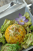Sprouted seeds on a dish of spicy saffron rice, green salad, saffron crocus flower and sesame seeds