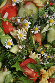 Garden salad with pastas, tomatoes, cucumbers, edible flowers, daisies, dandelion and yarrow, wild edible plants