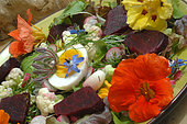 Raw salad dish: cauliflower and red beetroot, with hard-boiled egg, herbs and edible flowers: borage and nasturtium, from the garden