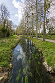 The Dien, river in the north-west of the Somme department, Noyelles sur mer, France