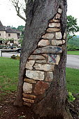 Hollow tree trunk filled with stones, France