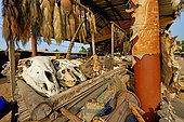 Fetish market, Togo.
