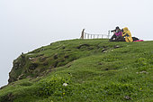 Photographers with Atlantic puffin (Fratercula arctica), Mykines Island, Faroe Islands, Denmark.