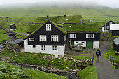 Mykines Island, Faroe Islands, Denmark.