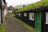 Mykines Island, Faroe Islands, Denmark.