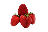Several ripe strawberries on a light background. Natural color and shape. Close-up.