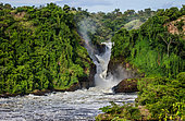 General view of the picturesque Murchison Falls. Uganda. East Africa.