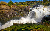 Murchison Falls. Top view of the water stream. Uganda. East Afri.