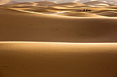 Sand dunes, Merzouga, Morocco, Sahara desert