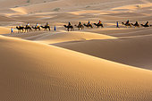 Sand dunes, Merzouga, Morocco, Sahara desert