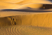 Sand dune, Merzouga, Morocco, Sahara desert