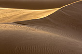 Sand dune, Merzouga, Morocco, Sahara desert