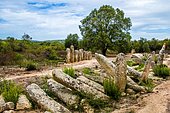 Numerous Menhirs, Alignement of Palaggiu, Pallagiu, Pagliaghju, Prehistoric Site Plateau of Cauria, Corsica, Cauria, Corsica, France, Europe