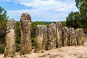 Numerous Menhirs, Alignement of Palaggiu, Pallagiu, Pagliaghju, Prehistoric Site Plateau of Cauria, Corsica, Cauria, Corsica, France, Europe