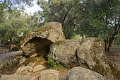 Tafone, granite stone hollowed out by natural weathering, Filitosa, Corsica, Corse, France, Europe