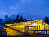 Hothouses in Hveragerdi, Iceland. Hothouses, greenhouses in Hveragerdi in winter. They are heated by geothermal energy and supply a large part of the icelandic demand of vegetables like tomatoes and bell peppers. Crop growing is done all year round, during the dark winter months the greenhouses are illuminated. In the background steam from geothermal springs. europe, northern europe, iceland, march
