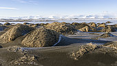 Paysage côtier avec dunes à Stokksnes en hiver par jour de tempête. Montagnes du PN Vatnajoekull en arrière-plan, Hornafjoerdur, Austurland, Islande.