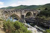 Old stone bridge over Tavignano river at Corte, Niolo, Corsica, France, Europe