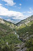 Riverbed of the Tavignano, Corte, Haute-Corse, Corsica, France, Europe