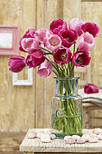 Bouquet de tulipes Don Juan, Rosalie