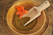 Cumin (Cuminum cyminum) spice powder in a wooden plate and spoon, orange Azalea flower as decoration