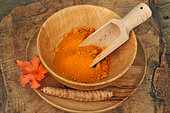 Turmeric (Curcuma longa) spice powder and rhizome in a wooden bowl, Azalea flower as decoration