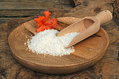 Coarse salt in a plate and a wooden spoon, azalea flower as decoration