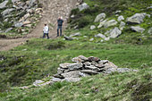 Alpine marmot (Marmota marmota) standing up behind a rock, while some hikers pass on the path further down. Valcolla, former municipality in the district of Lugano in the canton of Ticino, Switzerland
