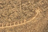 Stone Age rock carving of a boat in the UNESCO World Heritage site of Gobustan with about 6, 000 rock carvings up to 40, 000 years, near the district town of Gobustan on the Caspian Sea, Azerbaijan, Caucasus, Middle East, Asia