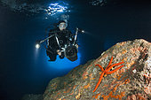 Scuba Diver inside Green Cave, Vis Island, Mediterranean Sea, Croatia