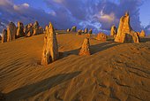 Pinnacles Desert, Nambung National Park, Kalbarri Region, Western Australia, Australia, Oceania